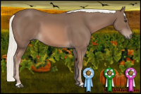 Horse Color:Chestnut Mushroom