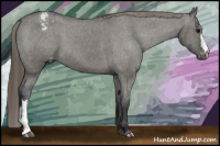 Horse Color:Grullo Varnish 