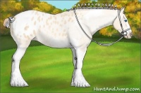 Horse Color:Gold Champagne Roan Dun Splash Tobiano Frame Blanket Rabicano 