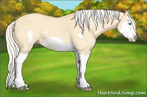 Horse Color:Silver Classic Cream Champagne Dun Splash Frame