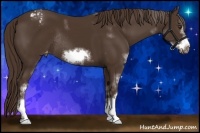 Horse Color:Liver Chestnut Sabino Frame Appaloosa Rabicano