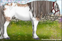 Horse Color:Bay Splash Frame Appaloosa 