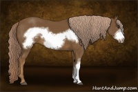 Horse Color:Chocolate Palomino Frame 