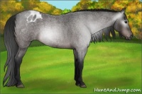 Horse Color:Gray Brown Roan Blanket 