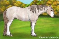 Horse Color:White Spotted Liver Red Roan Pearl Varnish