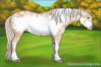 Horse Color:White Spotted Palomino Roan Frame Blanket 