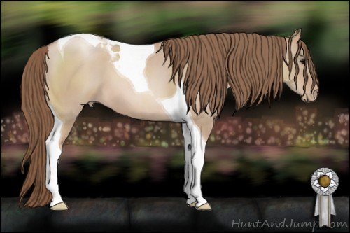 Horse Color: Grullo Pearl Sabino Tobiano 