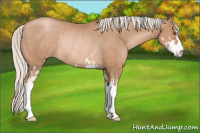 Horse Color:Silver Black Pearl Sabino Rabicano 