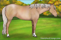 Horse Color:Silver Black Pearl Sabino 