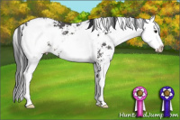Horse Color:Black Sabino Rabicano 