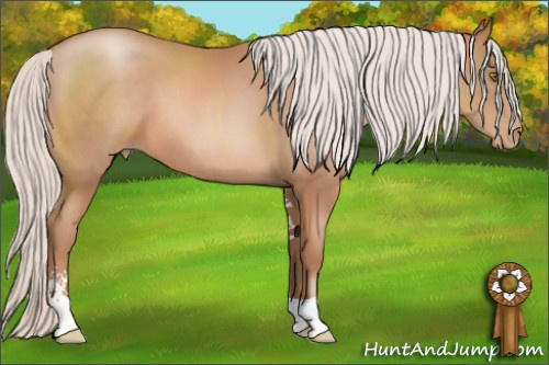 Horse Color: Silver Brown Pearl Sabino 