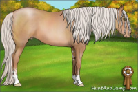 Horse Color:Silver Brown Pearl Sabino 