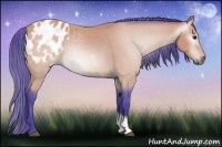 Horse Color:Gray Watercolor Buckskin Tobiano Appaloosa Rabicano 
