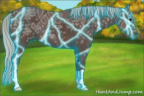 Horse Color: Thunderstruck Silver Black Ice 