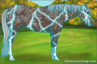 Horse Color:Thunderstruck Silver Black Ice 