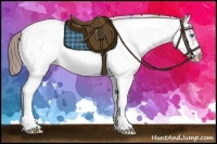 Horse Color:Nacre White Spotted Classic Champagne Roan Splash Frame Appaloosa 