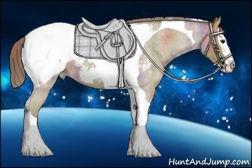 Horse Color:Nacre Classic Champagne Roan Splash Tobiano Appaloosa 
