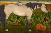 Horse Color:Buckskin Dun Rabicano 