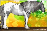 Horse Color:Gray Liver Chestnut Tobiano Snowcap 