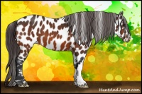 Horse Color:Bay Near Leopard 