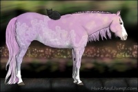 Horse Color:Watercolor Chestnut Ice Sabino Splash Rabicano 