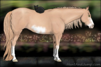 Horse Color:White Spotted Gold Champagne Frame 