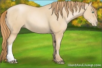 Horse Color:Smoky Black Pearl 