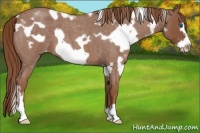 Horse Color:White Spotted Red Roan Frame Varnish 