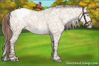 Horse Color:Sable Champagne Dun Frame Snowcap 