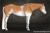Horse Color:White Spotted Chocolate Palomino Splash 