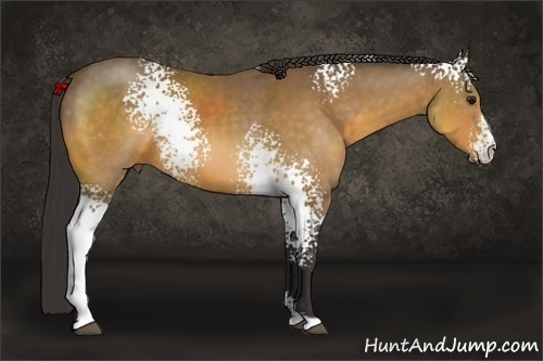 Horse Color: White Spotted Buckskin Sabino 