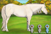 Horse Color:Palomino Pearl Dun 