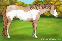 Horse Color:Chestnut Pearl Frame 