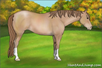 Horse Color:Black Pearl 