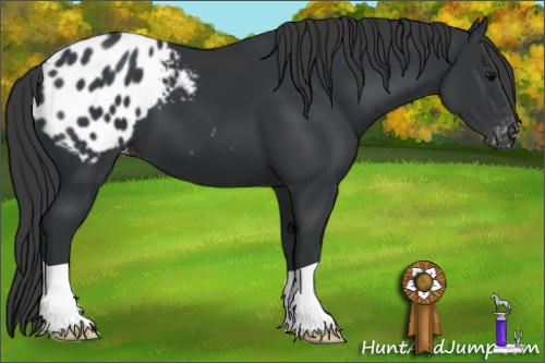 Horse Color: Brown Blanket 