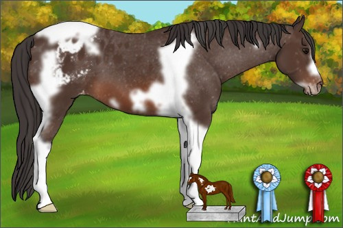 Horse Color: Brown Tobiano Frame Blanket 
