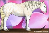 Horse Color:Watercolor Buckskin Pearl Splash Blanket 