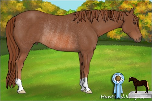 Horse Color: Liver Chestnut Rabicano 