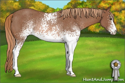 Horse Color: White Spotted Chestnut Rabicano 