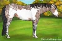 Horse Color:Bay Ice Frame 