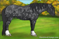 Horse Color:Black Ice 