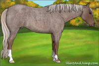 Horse Color:Silver Blue Roan 