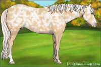 Horse Color:Silver Classic Cream Champagne Ice 