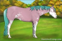Horse Color:Watercolor Amber Cream Champagne Sabino 