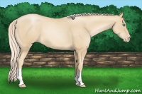 Horse Color:Palomino Pearl 