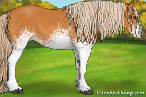 Horse Color:White Spotted Chocolate Palomino