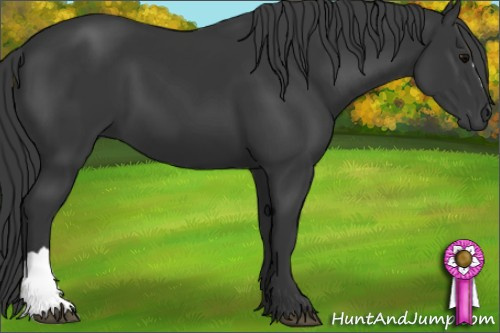 Horse Color: Brown 