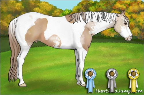 Horse Color: Black Pearl Sabino Tobiano 