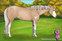 Horse Color:Silver Black Pearl Sabino