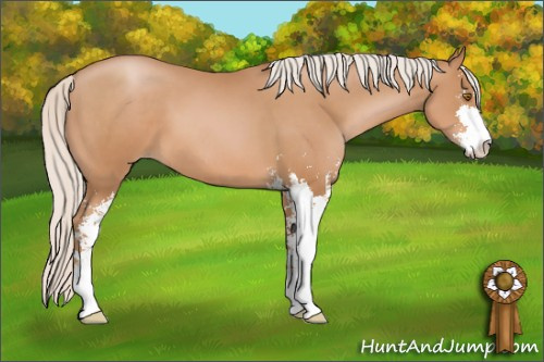 Horse Color: Silver Black Pearl Sabino 
